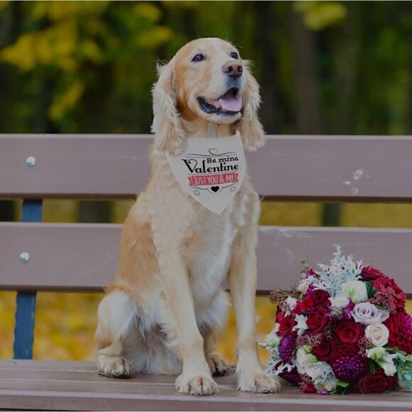 LOVE Dog Bandana Fits Most Dogs Unique Dog Mom Gift Dog Lover Pet NWT - Picture 3 of 4